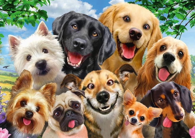 Schmidt puzzle psie selfie 500 dielikov