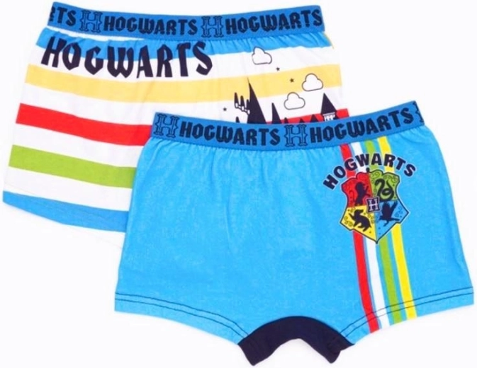 Harry Potter dvojbalenie pánskych boxeriek
