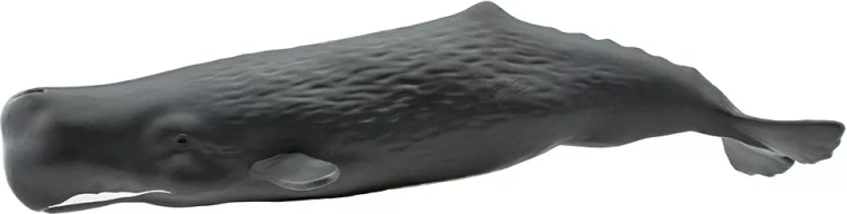 Figúrka vorvaňa obrovského Safari Ltd. – 1 kus