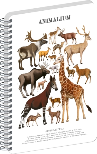 Notique špirálový blok Animalium – párnokopytníky, čistý, A4