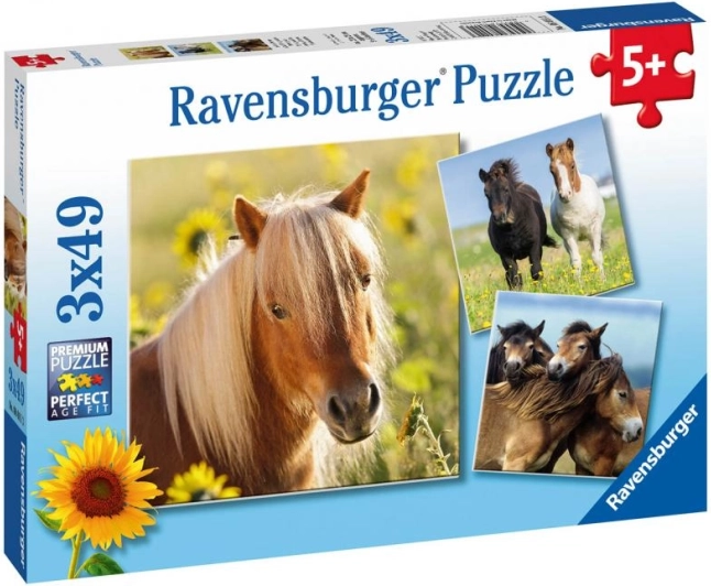 Ravensburger puzzle milé kone 3×49 dielikov