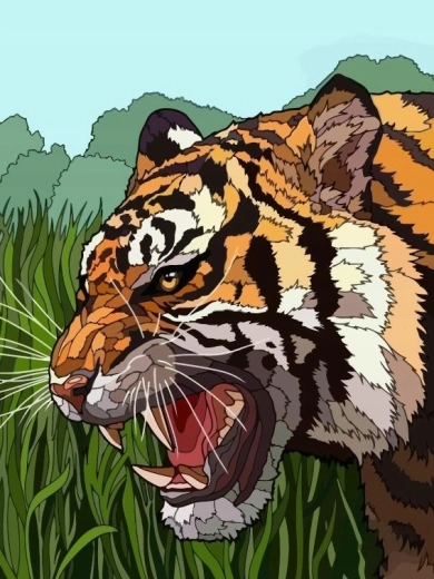 Maľovanie podľa čísel – revúci tiger v tráve 40 × 50 cm