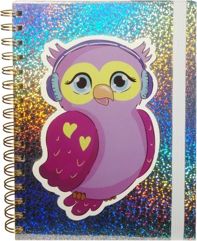 Holografický denník so sovou na gumičku