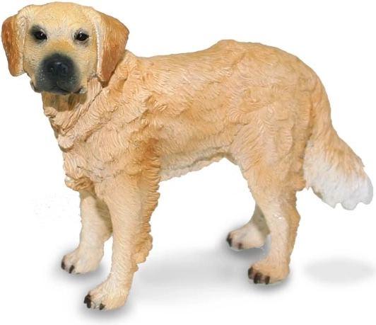 Zlatý retríver Collecta