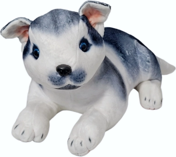Plyšový pes husky
