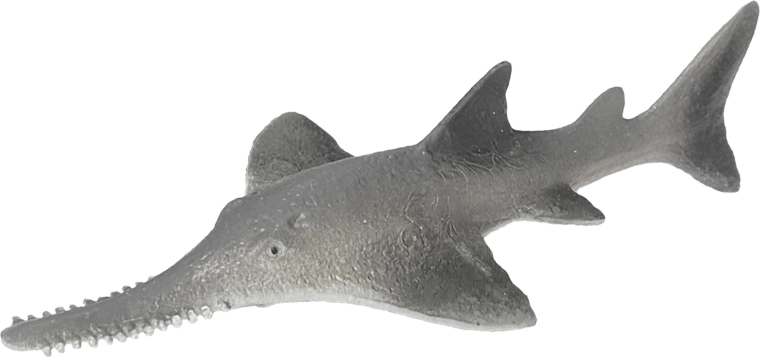 Gumová morská ryba píľoun mnohozubý 14 cm