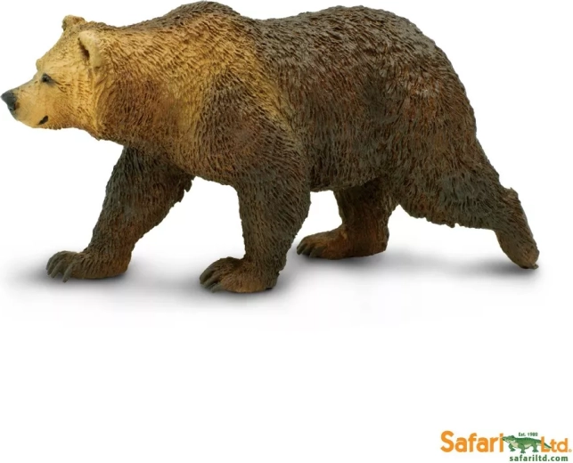 Medveď grizly