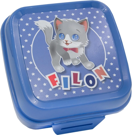 Desiatový box s klik uzáverom 12,5 × 12,5 × 8 cm – plastový, mix farieb