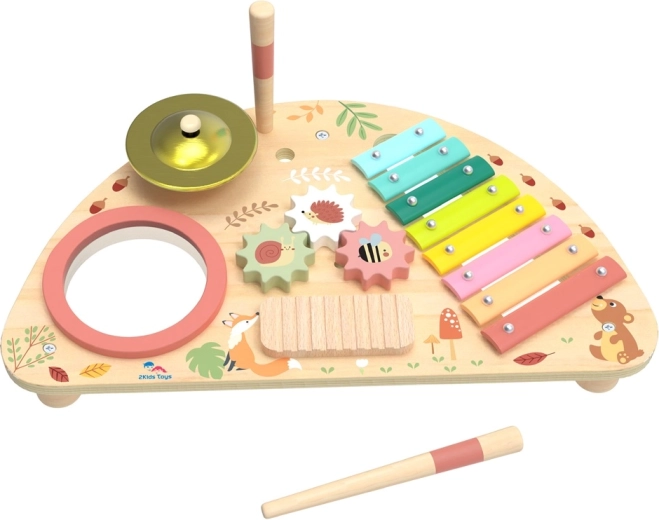 2Kids Toys multifunkčná hudobná doska