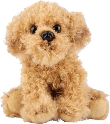 Plyšový pes Labradoodle