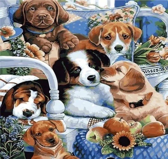 Norimpex Maľovanie podľa čísel Šteniatka 40 × 50 cm