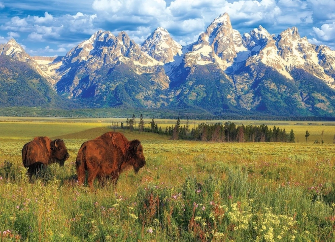 Puzzle nádherný Národný park Grand Teton 1000 dielikov