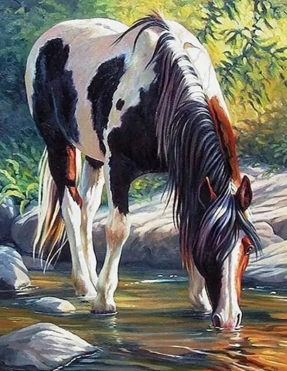 Maľovanie podľa čísel – kôň pri rieke 40 × 50 cm