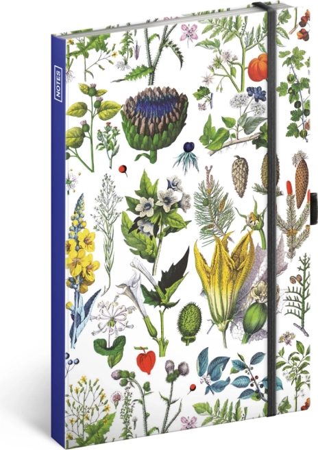 Zošit Bylinky Kateřiny Winterovej, bodkovaný, 13 × 21 cm