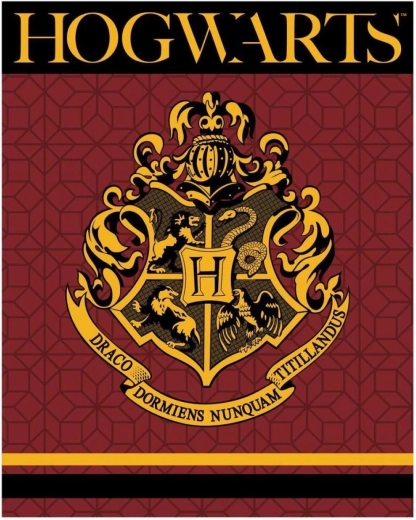 Fleecová deka Harry Potter XL