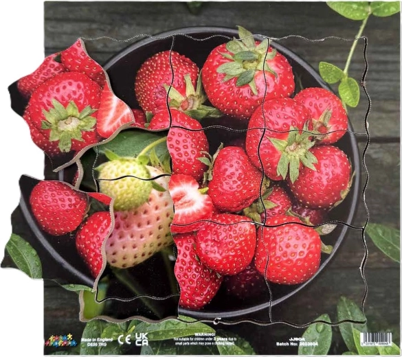 Just Jigsaws jahoda a jej vegetatívne fázy rastu – drevené vrstvené puzzle, 19 dielikov