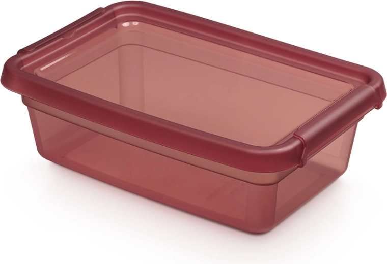 Basestore úložný box s vekom a klipsami 3 l, 19 × 28 × 9 cm, rebarbora