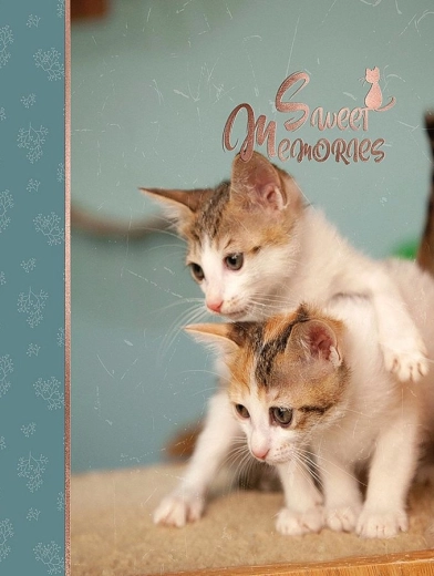 Fotoalbum CONCORDE DXP 4696 pre 96 fotografií 10 × 15 cm