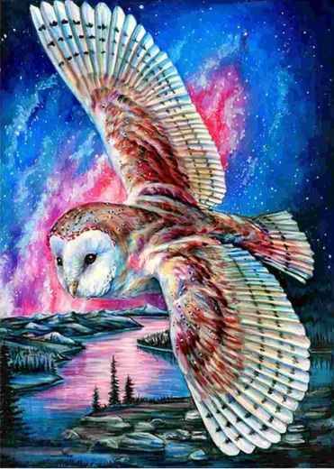 Norimpex diamantové maľovanie Lietajúca sova 30 × 40 cm