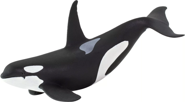 Figúrka kosatky Safari Ltd.