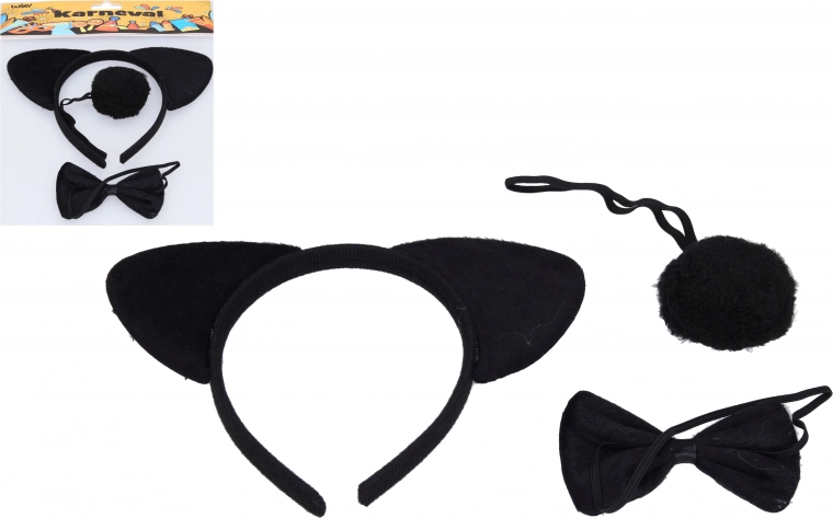 Karnevalový set medveď