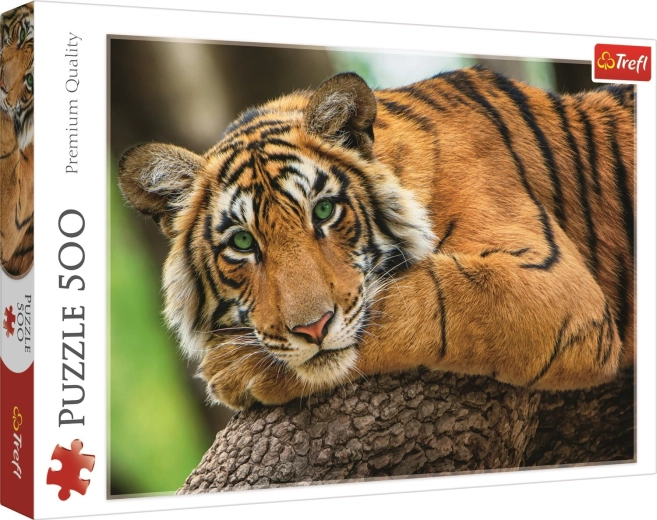 Puzzle Portrét tigra 500 dielikov