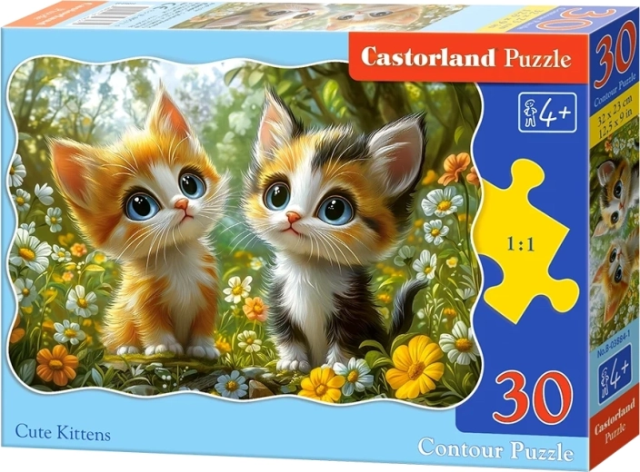 Puzzle Roztomilé mačiatka 30 dielikov