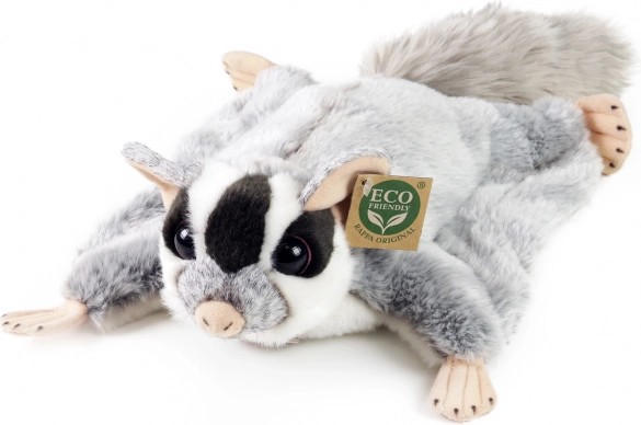 Plyšová vakoveverica lietajúca