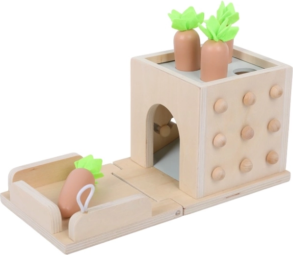 2Kids Toys multifunkčná drevená vkladačka 8 v 1