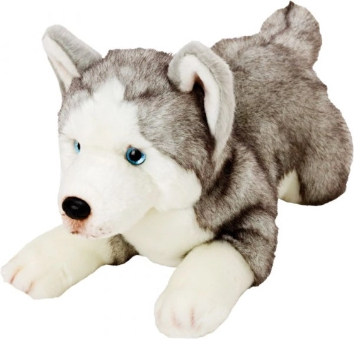 Plyšový pes Husky