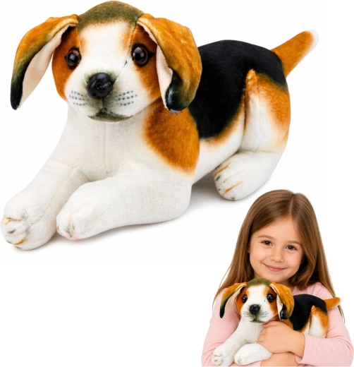Plyšový psík beagle 25 cm