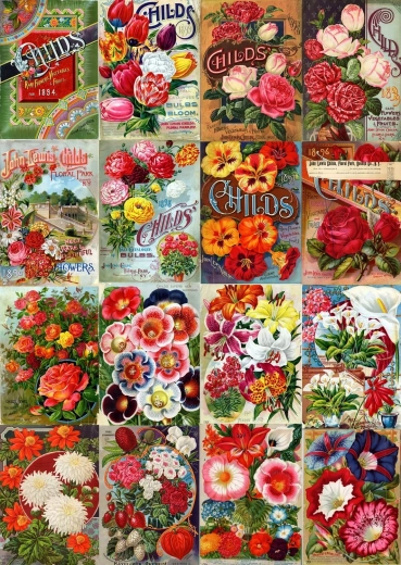 Enjoy puzzle vintage katalóg kvetinových semien 1000 dielikov