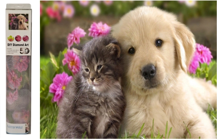 Diamantová mozaika pes a mačka