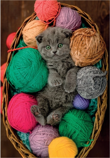 Puzzle chlpaté mačiatko 500 dielikov CLEMENTONI