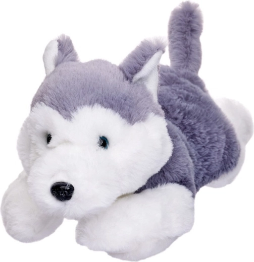 Plyšový pes husky ležiaci 35 cm