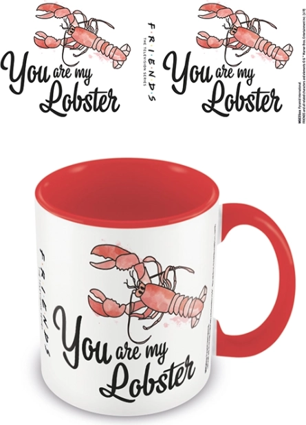 Farebný hrnček Priatelia You Are My Lobster