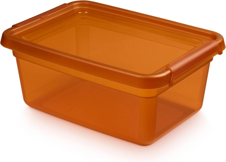 Basestore úložný box s vekom a klipsami amber 12,5 l