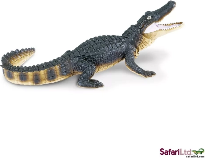 Safari Ltd. aligátor - 1 kus