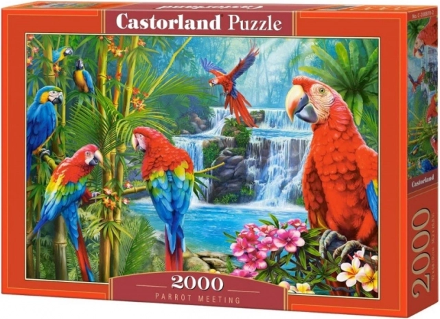 Puzzle 2000 dielikov Parrot Meeting