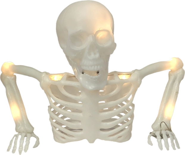 Stolný kostlivec 40 cm