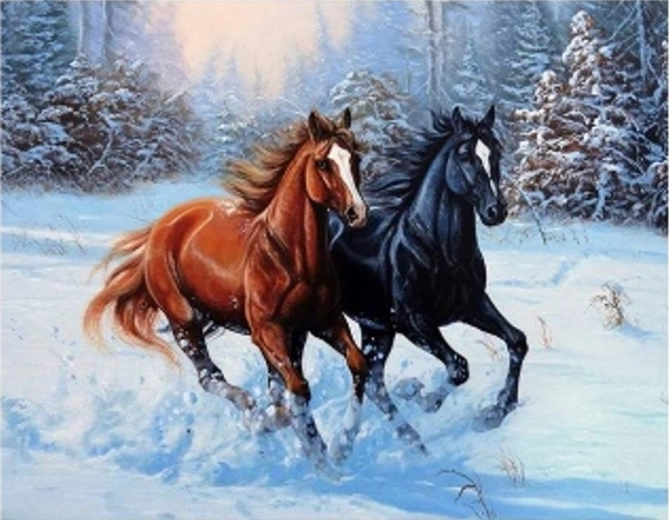Maľovanie podľa čísel kone cválajúce v snehu 40 × 50 cm