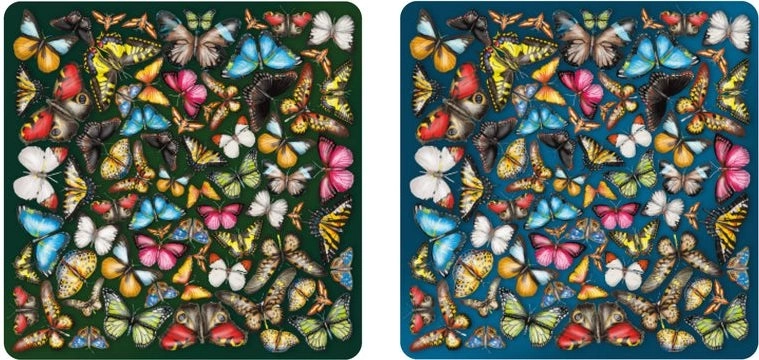 Obojstranné drevené puzzle Curiosi Double: motýle 165 dielikov