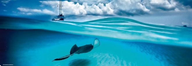 Panoramatické puzzle Rejnok - Kajmanské ostrovy 1000 dielikov