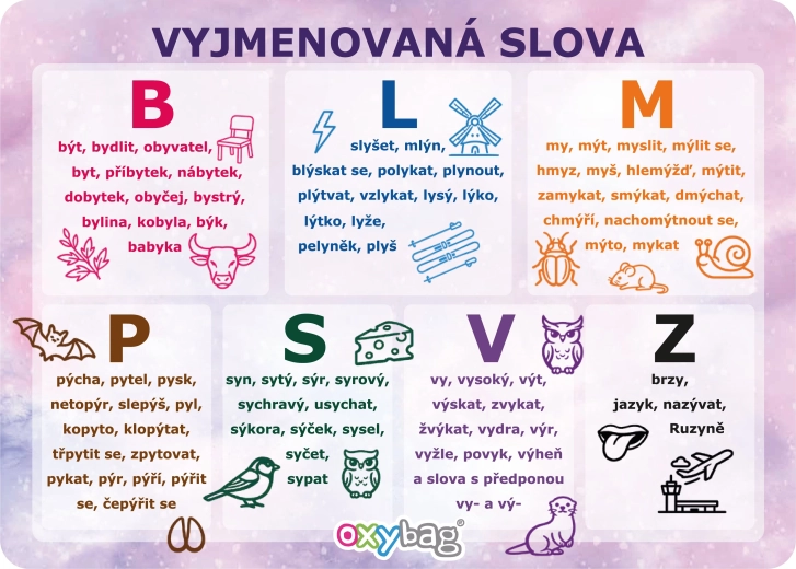Vzdelávacia karta A4 – vybrané slová, motív Motýľ – 1 kus