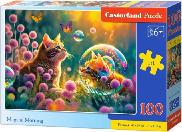 Puzzle 100 dielikov Magical Morning