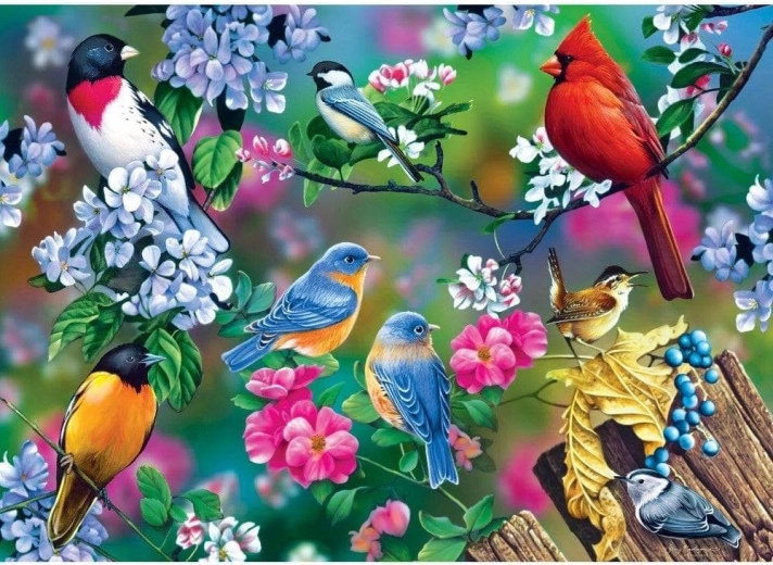 Masterpieces puzzle Audubon koláž spevavých vtákov 1000 dielikov