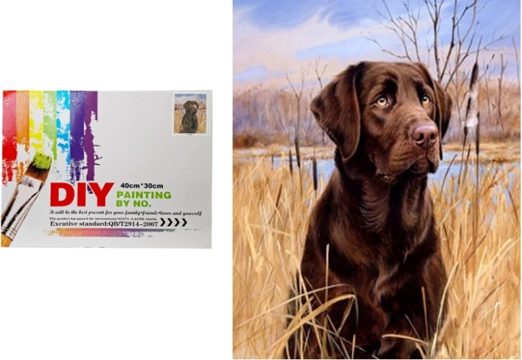 Maľovanie podľa čísel – pes v rákosí