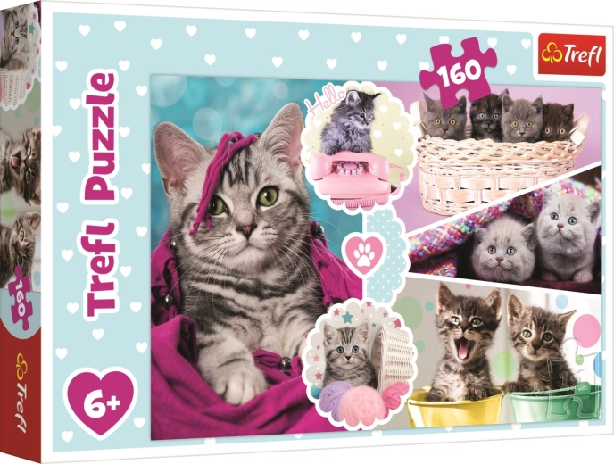 Trefl puzzle roztomilé mačiatka 160 dielikov