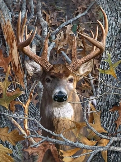 Diamantové maľovanie – jelene 30 × 40 cm