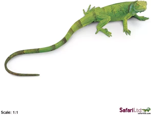 Safari Ltd. mláďa leguána zeleného - 1 kus